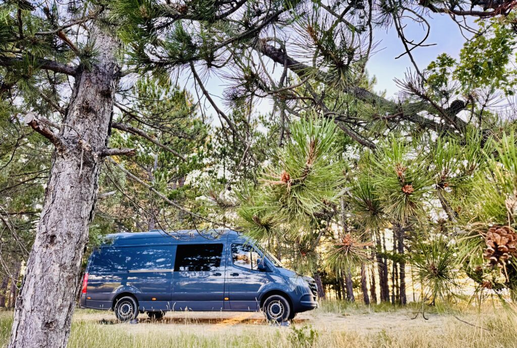 Sprinter van des les arbres des pins 4X4